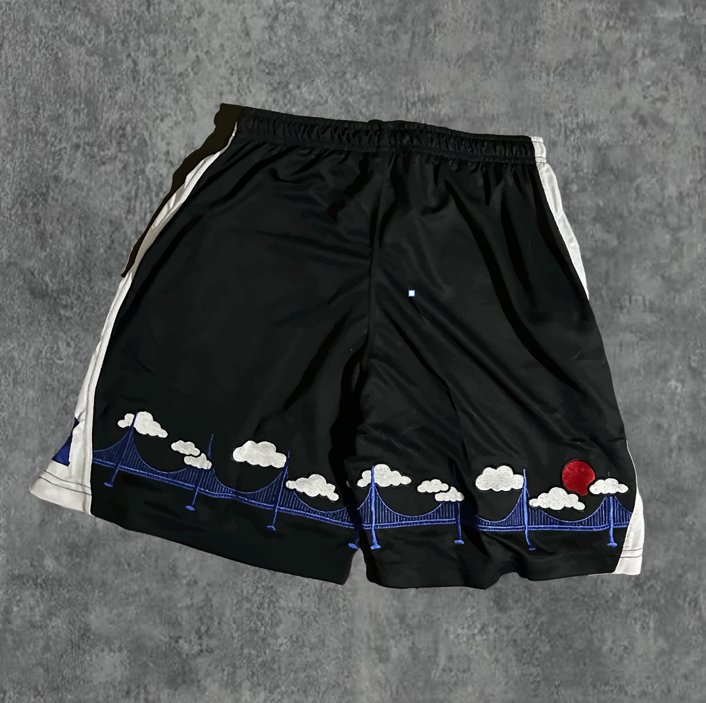 7. BLUE/WHITE AOD Cloud 9 Shorts